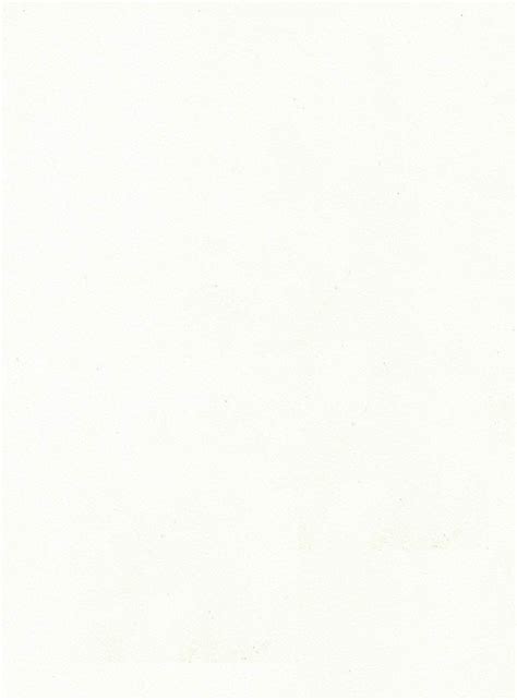 1002 AP OFF WHITE – Premium Laminates | Amulya Mica – Amulya Mica