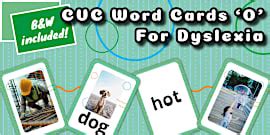 CVC Word Cards E Dyslexia