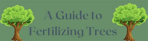 Image result for How Do You Fertilize a Tree