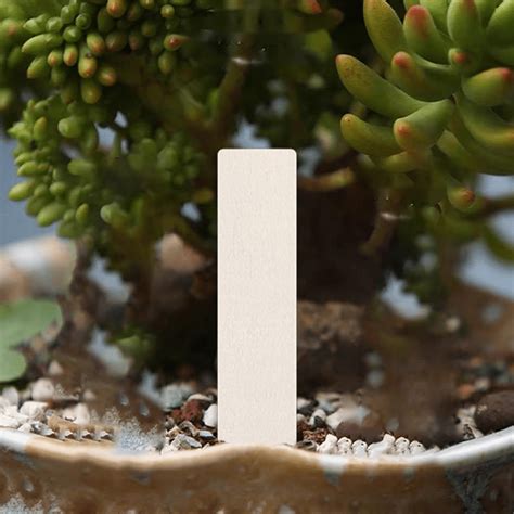 Plant Labels 4 Inch 20/50Pcs Wood Plant Name Tags For Seedlings Garden ...