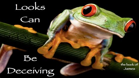 LOOKS CAN BE DECEIVING | THE BRIDGE