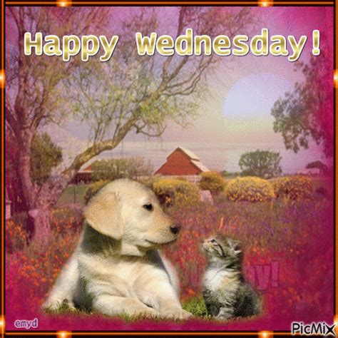 Happy wednesday! - Free animated GIF - PicMix