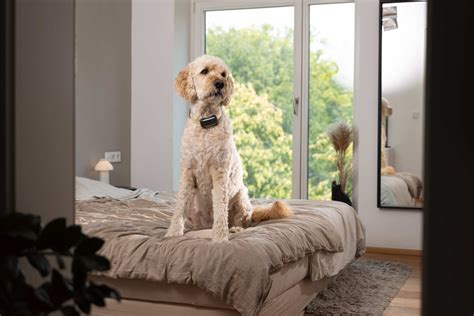 Image result for Create a Program Using 10 Linux Command Given Some Example