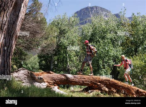 Image result for Two Tree Hiking