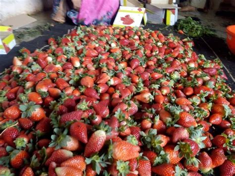 SPOT ON 65110 HOTEL SUNRAJ NIWAS (Avakali) - Hotel Reviews, Photos ...