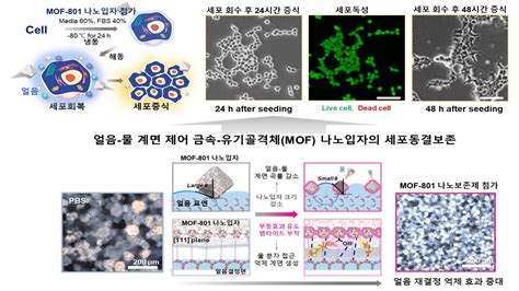 Image result for Problem Formulation Process