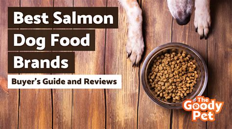 7 Salmon Dog Food Brands (November 2019) | TheGoodyPet