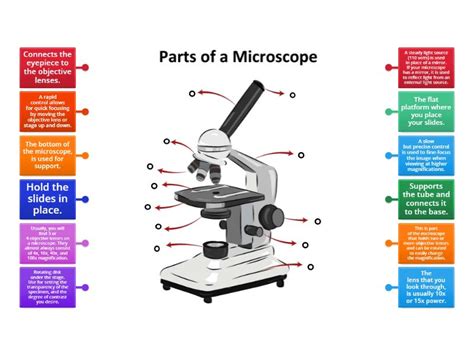 Image result for Function of Microscope