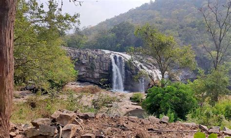 Chinnar Wild Life - Home