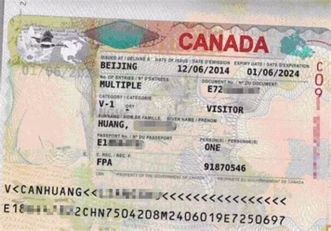 加拿大惊现假签证 竟是淘宝买来的！