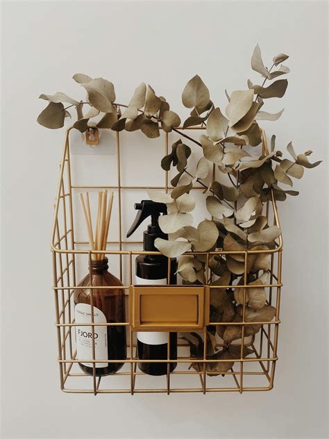 Image result for Photo Diffusers