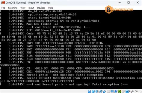 Image result for Kernel Panic Not Syncing VM VirtualBox