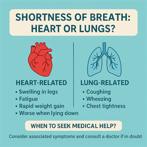 Is Shortness of Breath from the Heart or Lungs? (2026)