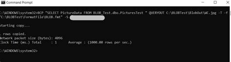 Image result for How to Extract Blob Data.sql