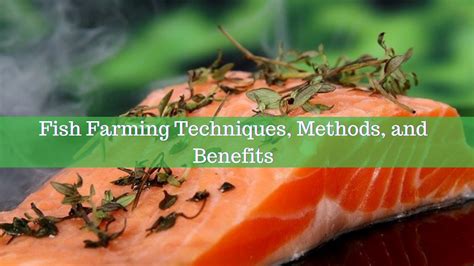 Fish Farming Methods 的图像结果