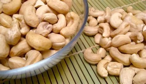 Kalori Kacang Nyan Yin: Manfaat dan Rasa Tanpa Beban Kalori