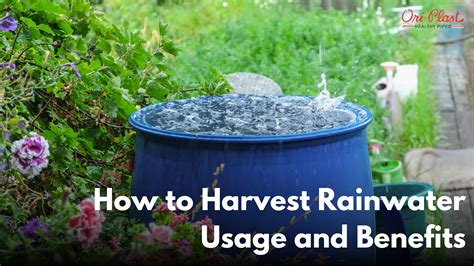 Homemade PVC Pipe Irrigation 的图像结果