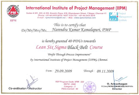International Institute of Project Management