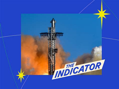 SpaceX's multi-planetary ambitions pose threat to south Texas ecosystem ...