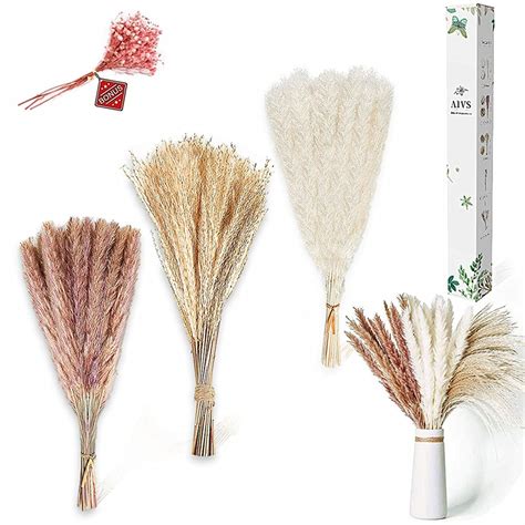 Dried Pampas Grass,80 Pcs Natural Pompous Grass with White Pampas ...