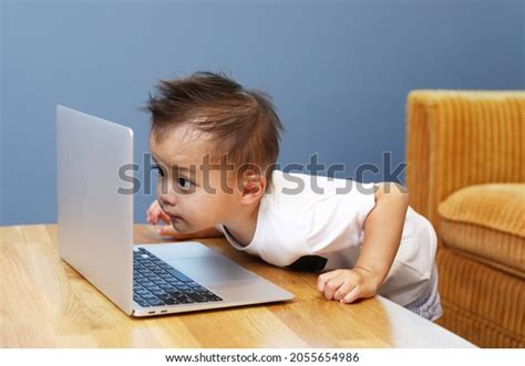 Boy Playing Computer Clip 的图像结果