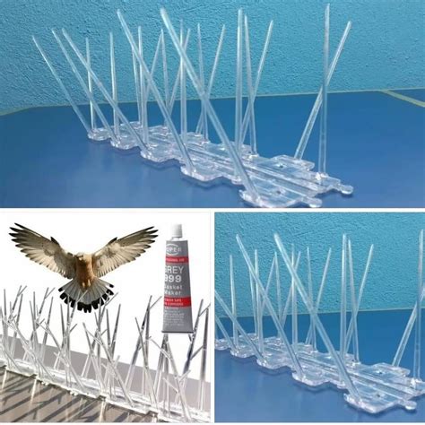 Pigeon Spikes 的图像结果