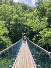 FOXFIRE MOUNTAIN SWINGING BRIDGE (2025) All You Need to Know BEFORE You ...