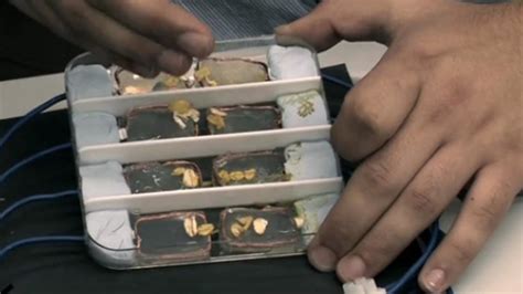 Six the Musical Slime Tutorial 的图像结果