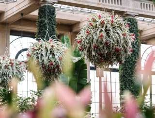 Find the Best Zoos on the East Coast in PA | PAGetaways