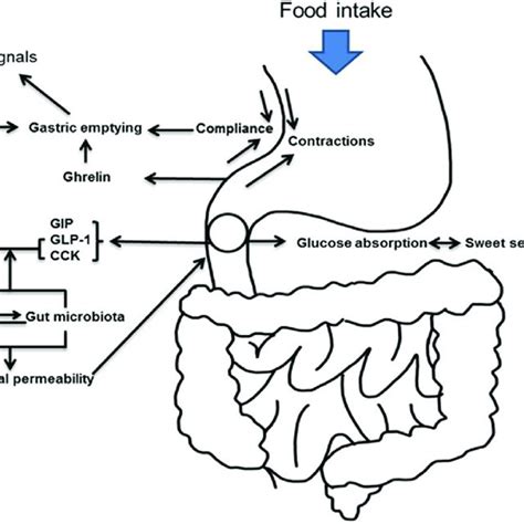 Image result for Colon Polyps Types