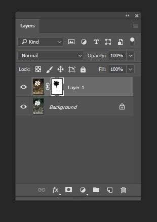 Photoshop CS2 Colorize 的图像结果