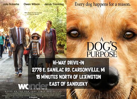 Wonder & A Dogs Purpose, The Hi-Way Drive In, Carsonville, 6 July 2024 ...