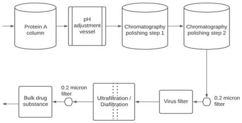 Downstream Processing of Virus Filter | Encyclopedia MDPI
