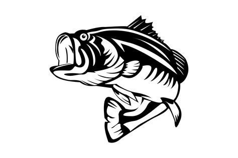 Bass Fish Graphic by masuda072020 · Creative Fabrica