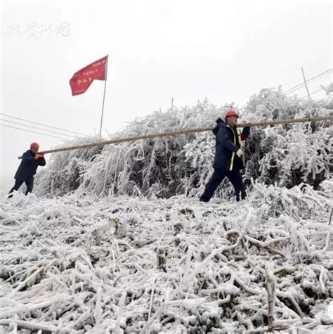 关注丨未来七天， 贵州将迎雨雪冰冻天气！最新路况戳这里→|贵州|黔东南州|多彩贵州_新浪新闻