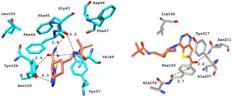Identification of Selective BRD9 Inhibitor via Integrated Computational ...