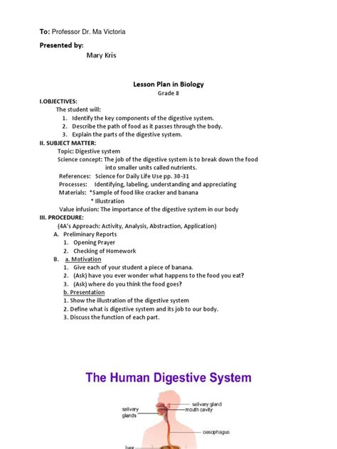 Image result for Lesson On Digestive System