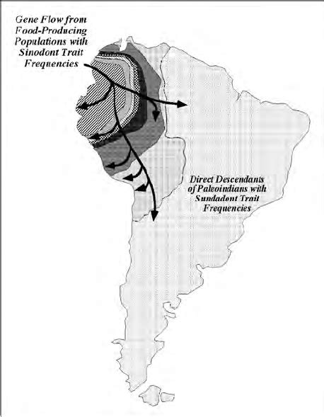 3. The hypothesized spread of sinodonty into South America via the ...