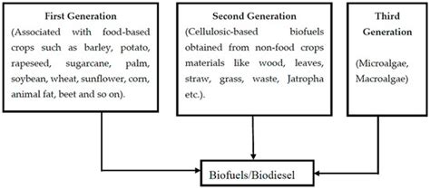 Application of Heterogeneous Catalysts for Biodiesel Production from ...