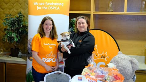 Hilton Dublin Kilmainham’s Pet Day 2025 brings joy to guests and their ...