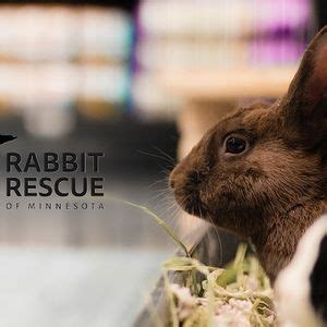 RRMN Romp & Spa/ nail trim event, 13614 County Road 11, Burnsville, MN ...