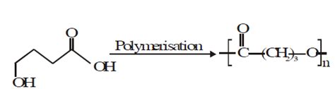 The homopolymer formed from 4-hydroxybutanoic acid is