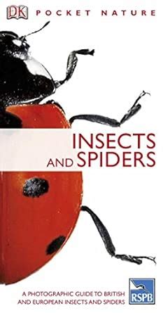 Buy Insects and Spiders Book Online at Low Prices in India | Insects ...