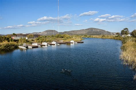 SCHINIAS | You Go Culture