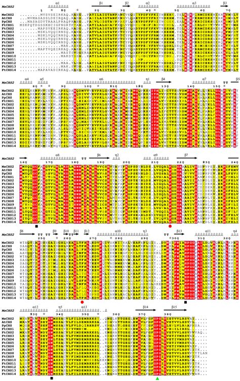 Identification and Expression Analysis of Chalcone Synthase Gene Family ...