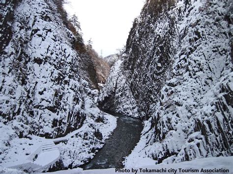 Magical Winter Niigata Bus Tour and Niigata Join In Two Day Bus Tour ...