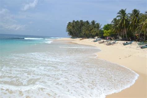 what a wonderful trip - Reviews, Photos - Banana Island - Tripadvisor