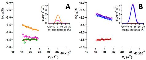 Colloids and Interfaces | Special Issue : Exclusive Papers of the ...