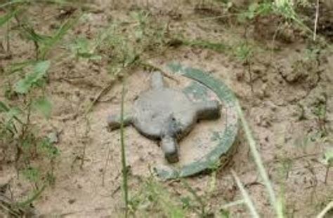 Soldier Injured In Landmine Blast Near LoC In Poonch; Rusted Shell ...