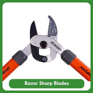 Sharpex Razor Sharp Carbon Steel Blade Anvil Lopper with Sturdy Handle ...